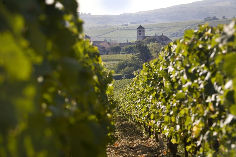 Ces Appellations Qui Vont Prendre Du Galon