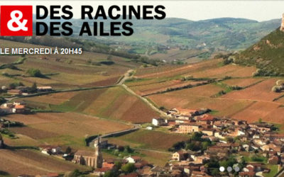 Des racines et des ailes en Bourgogne