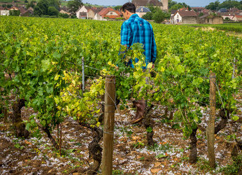 Orages en Bourgogne