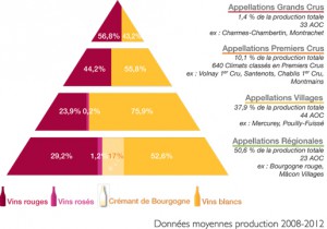 Les grands crus de Bourgogne