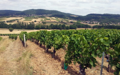 Sécheresse 2015 en Bourgogne