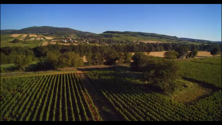 Vidéo vue aérienne vignes en Bourgogne