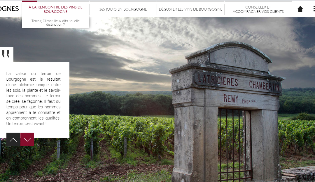 Une formation gratuite en ligne pour devenir expert en vins de Bourgogne