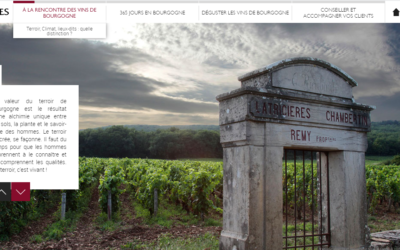 Une formation gratuite en ligne pour devenir expert en vins de Bourgogne