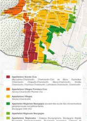L’appellation Gevrey Chambertin en Côte de Nuits