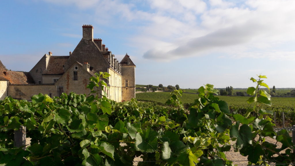Château du clos de Vougeot