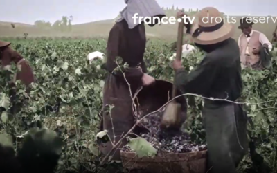 France 3 diffuse un magnifique documentaire sur l’histoire des vignerons