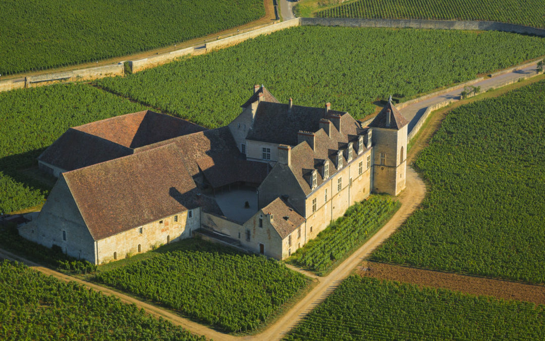 Gaulois, Grecs, Romains… Qui a produit le premier vin de Bourgogne ?