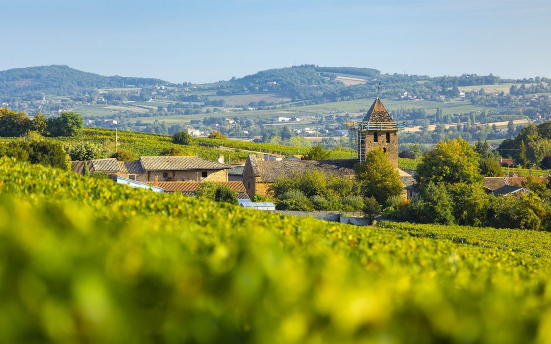 Des premiers crus pour Pouilly-Loché et Pouilly-Vinzelles